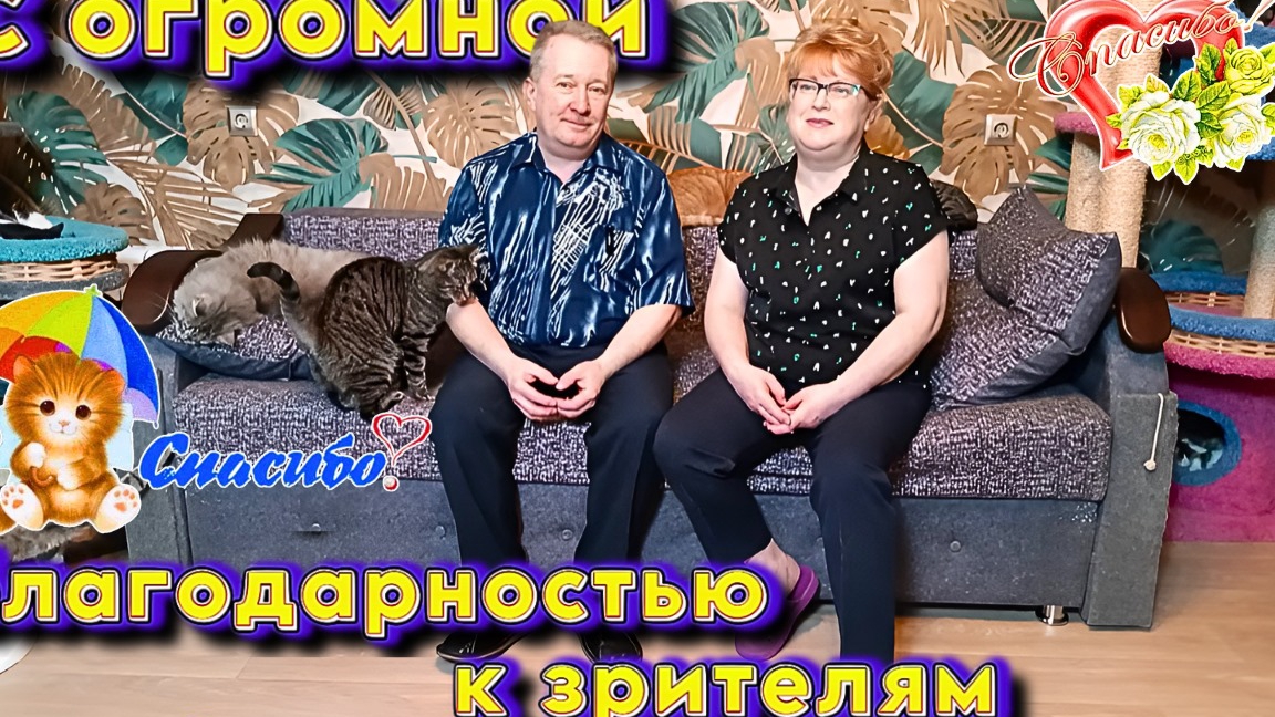 С огромной благодарностью к зрителям. смотреть онлайн