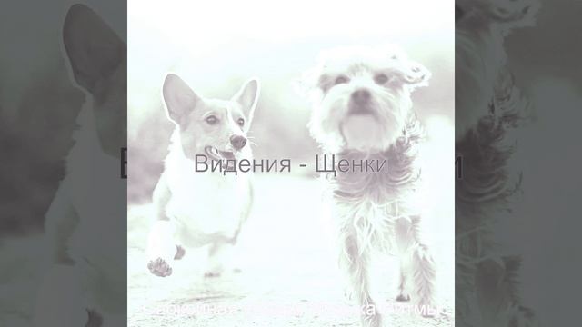 Моменты (Расслабляющие собаки) смотреть онлайн