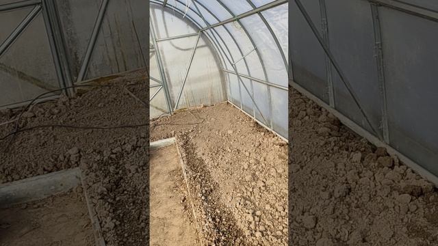 урожай огурцов в мае смотреть онлайн