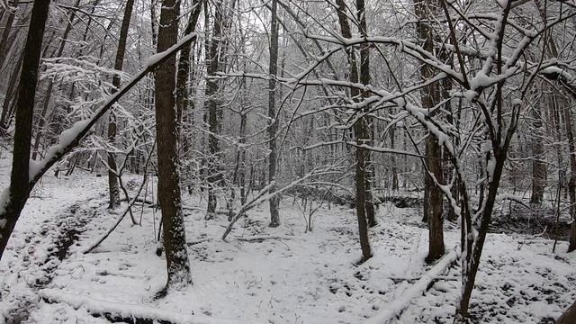 опоздавшая зима смотреть онлайн
