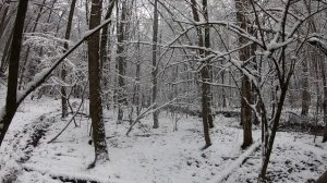 опоздавшая зима