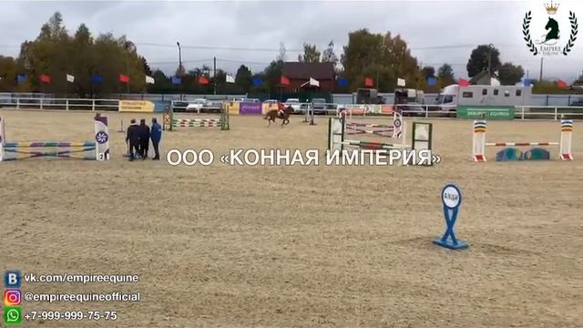 0395 смотреть онлайн