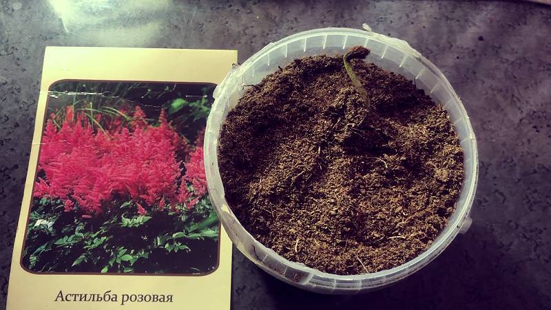 СВЕТОФОР - МАРТОВСКИЙ обзор огородных новинок. смотреть онлайн