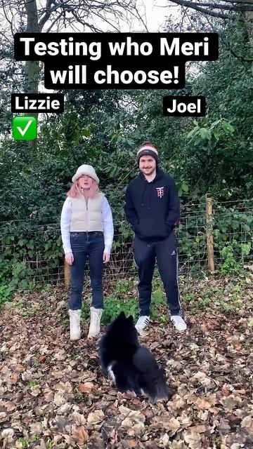 who will meri choose??? смотреть онлайн