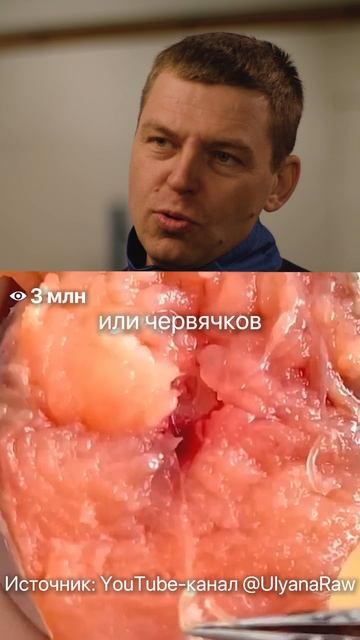 Как дома быстро проверить рыбу на паразитов? #рыба #паразиты #глисты #рыбы #еда #питание #узв смотреть онлайн
