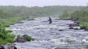 Когда зацепился уловистым воблером