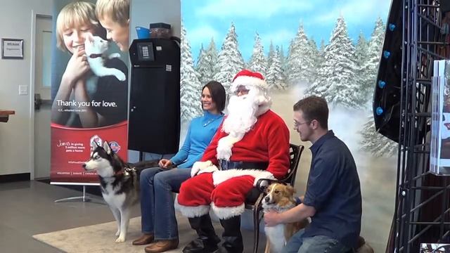 Dog Photos with Santa смотреть онлайн