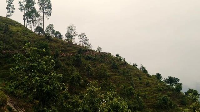 Exploring the unexplored area of my village😳😱।। #UTTRAKHANDAIRIES 😍🤩।। #Vlog11 смотреть онлайн