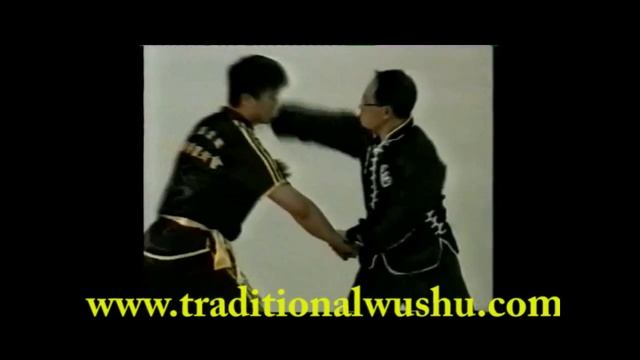 Grandmaster Lee Kam Wing 7 Star Mantis