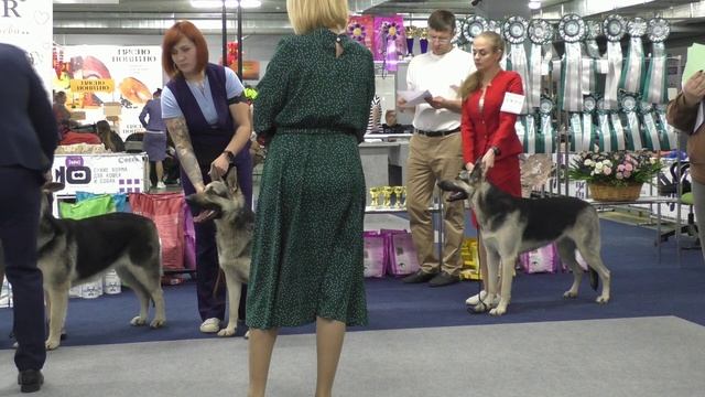 Класс юниоров смотреть онлайн