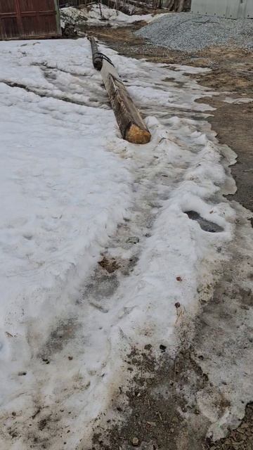 Ставят новые столбы, теперь просто всё в столбах 😀 смотреть онлайн