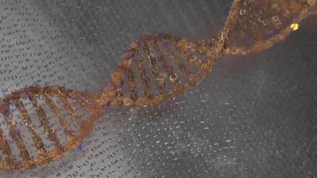 Вода не так полезна, как вы думаете. Польза сухого голодания🧐 смотреть онлайн