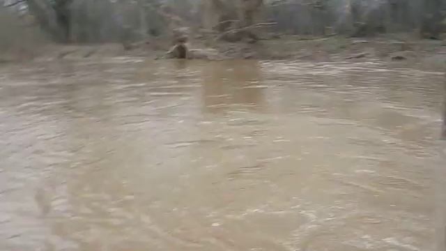 Река в половодье и ТПК