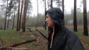 Землянка. Прячусь от проливного дождя. Гроза в лесу. Грибная подлива