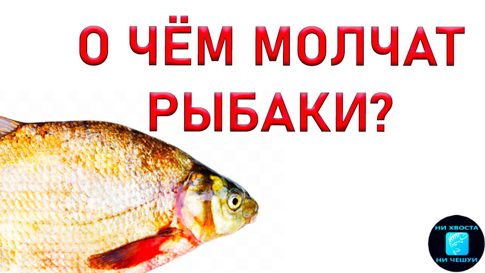 КАК ПОЙМАТЬ КРУПНУЮ РЫБУ?КАК ОТСЕЧЬ МЕЛКУЮ РЫБУ?!10 СЕКРЕТОВ ЛОВЛИ КРУПНОГО ЛЕЩА на фидер!