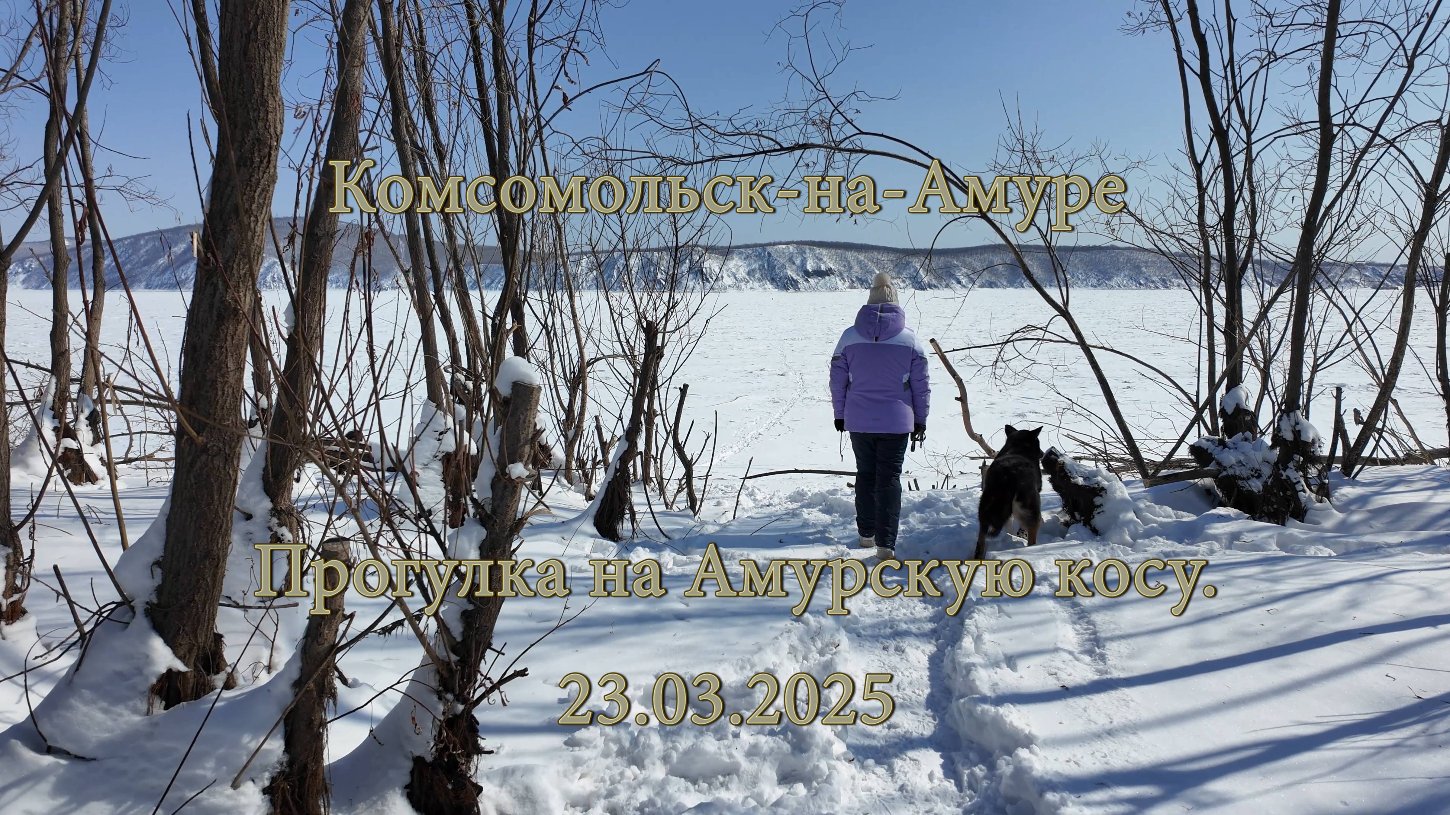 Комсомольск-на-Амуре. Прогулка на Амурскую косу. 23.03.2025. Остров Зелёный. смотреть онлайн