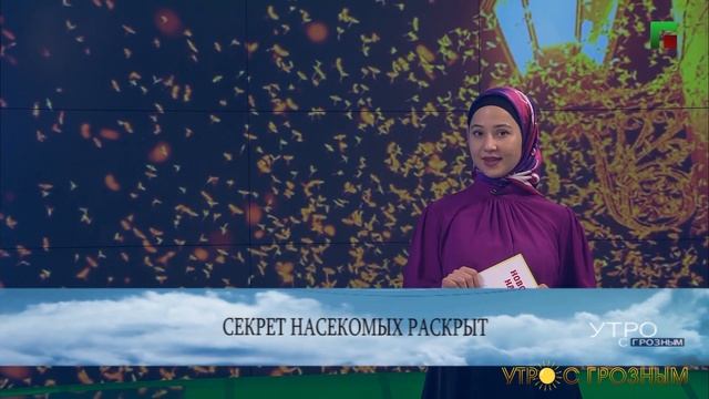КАПУСТА КИМЧИ ОТ ДИАБЕТА: НОВОСТИ НАУКИ смотреть онлайн