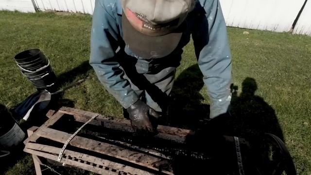 Processing Black Walnuts смотреть онлайн