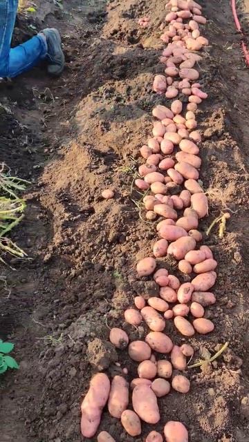 Уборка Сарпо Мира первый день смотреть онлайн