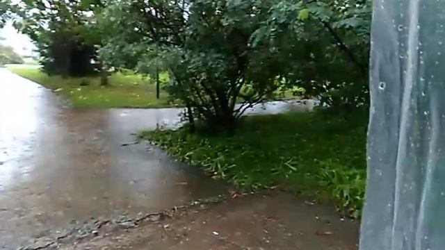 Люблю Алфавит. В Лучегорске смотреть онлайн