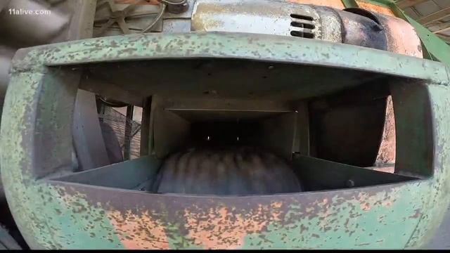 New Mexico to surpass Georgia in pecan production смотреть онлайн