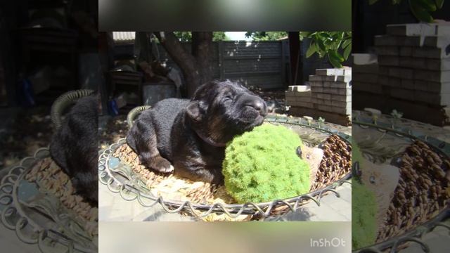 6 дней назад мы обрадовали маму своим появлением на свет смотреть онлайн