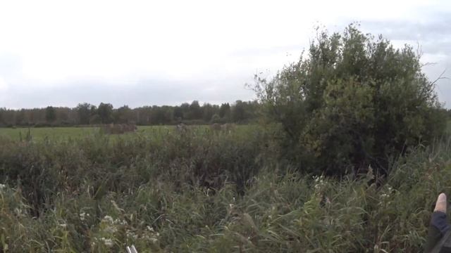 Охота на утку . охота с подхода смотреть онлайн