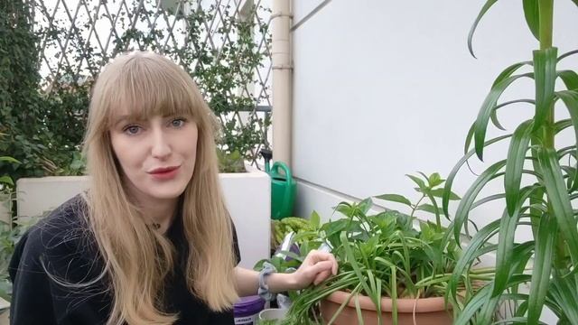 What To Do With Spring Bulbs When They Are Done Blooming | Container Gardening смотреть онлайн