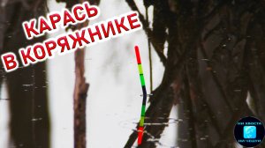 РЫБАЛКА НА ПОПЛАВОК РАННЕЙ ВЕСНОЙ В ДИКОМ КОРЯЖНИКЕ! Ловля карася НА ПОПЛАВОК в апреле 2025!