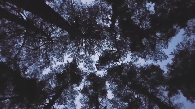 Alex Holmes & Dark Point You Are смотреть онлайн