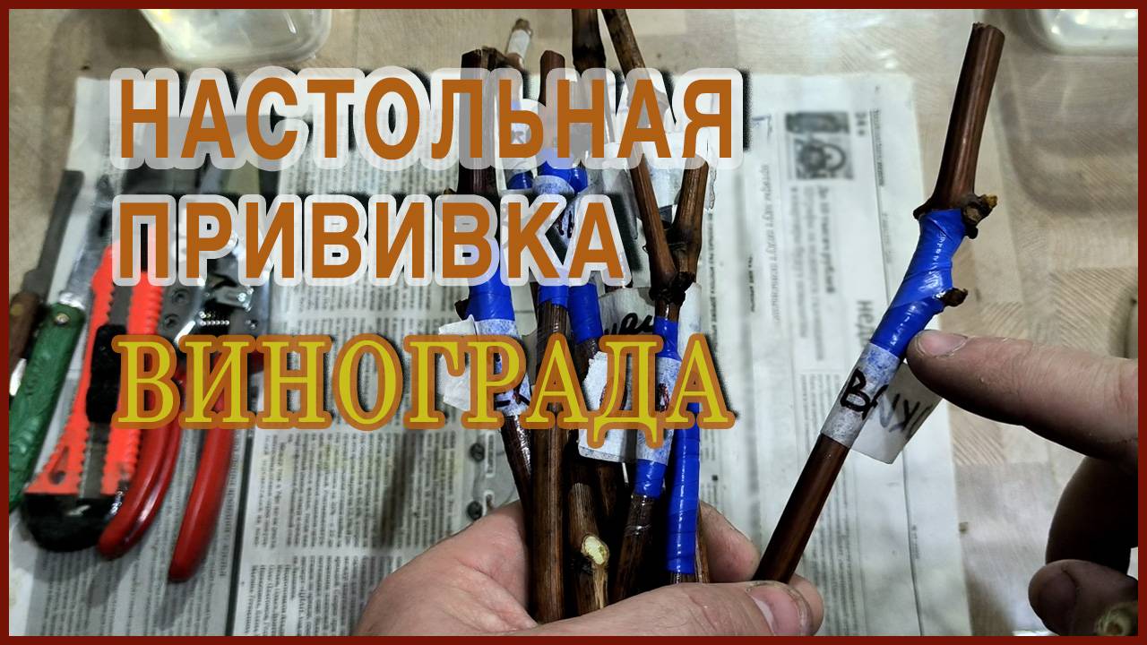 ТРИ способа ПРИВИВКИ, которые сможет сделать каждый смотреть онлайн