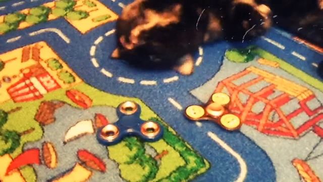 Кошка знает моду смотреть онлайн