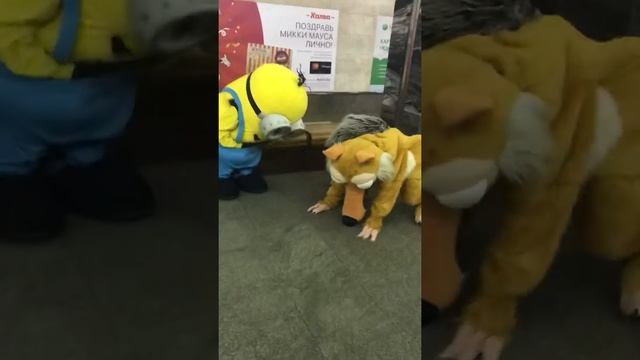 Белка и миньон в метро Минска