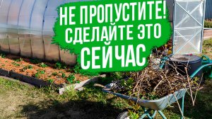 Самые ВАЖНЫЕ весенние работы в огороде в марте.