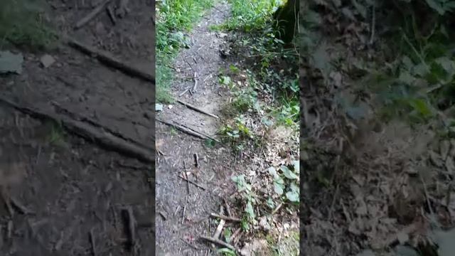 Test továrních mačet Fiskars a Patriot. смотреть онлайн