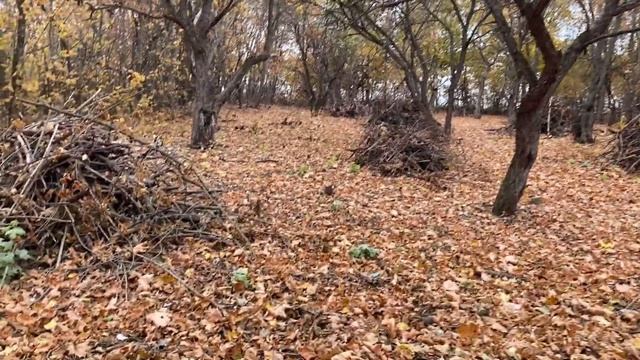 Знакомство с козламии смотреть онлайн