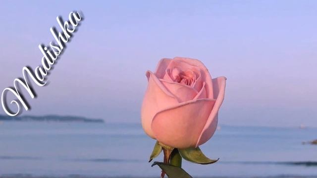 Хедаа Новая певица❤🤩 Кура Сятташ Когаш Бятташ 😍😍💣 2018 смотреть онлайн