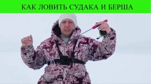 КАК ЛОВИТЬ СУДАКА И БЕРША ЗИМОЙ! В КАМСКОМ УСТЬЕ, В ЗАТОНЕ ИМ. КУЙБЫШЕВА.
