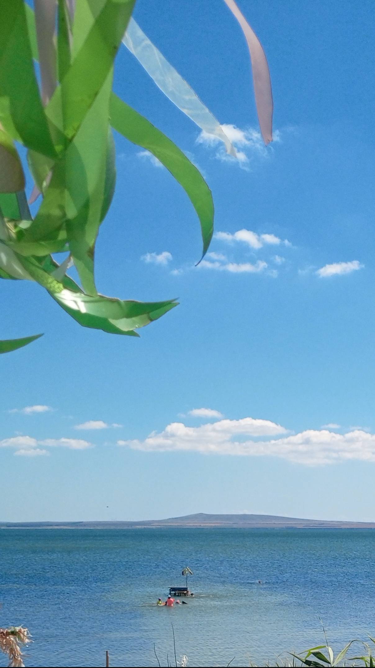 Продается дом на берегу моря п.Сенной смотреть онлайн