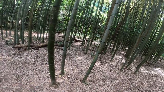 Yasuke Lives- 5.11 COVRT 18 Footage смотреть онлайн