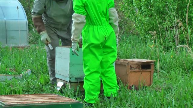 Дневник кошечки Пуси. На даче после поездки за пчёлами