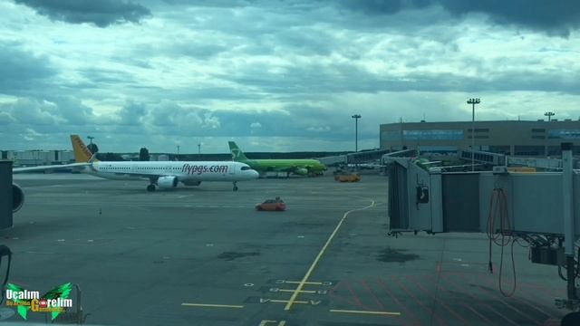Pegasus Airlines landing on Moscow Domodedovo Airport Flypgs 24.07.21 смотреть онлайн