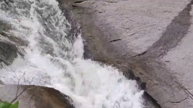 Evergreen wildlife safari ranakpur смотреть онлайн