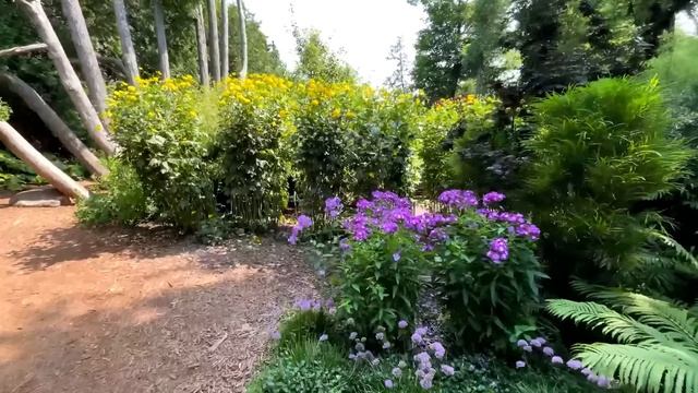 50s & 60s Rock 'n' Roll Hits That Shaped Music History 🎶🔥 смотреть онлайн