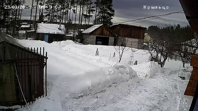 Упало дерево на гаражи
