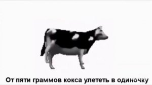 Корова (мемы) - танцевальная корова?!