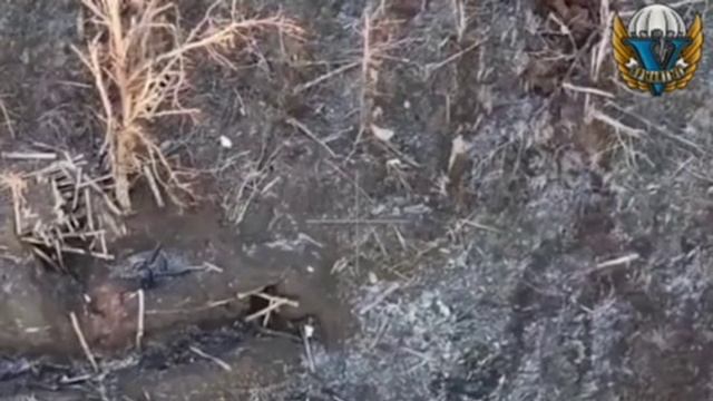 Десантник в одиночку уничтожил противотанковыми минами ТМ-62М два блиндажа с пехотой ВСУ смотреть онлайн