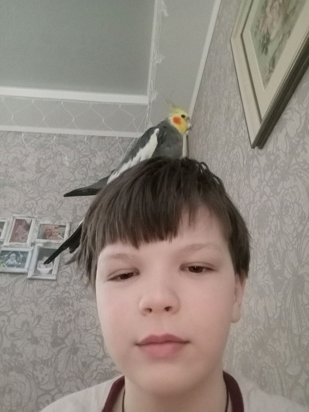 ..... смотреть онлайн