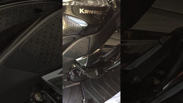 Kawasaki Zx10r T-Rex