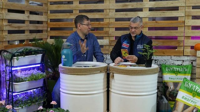 Вести.Интервью: Владислав Кундасев, агроном смотреть онлайн